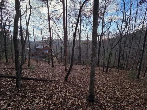5 Fish Camp Way