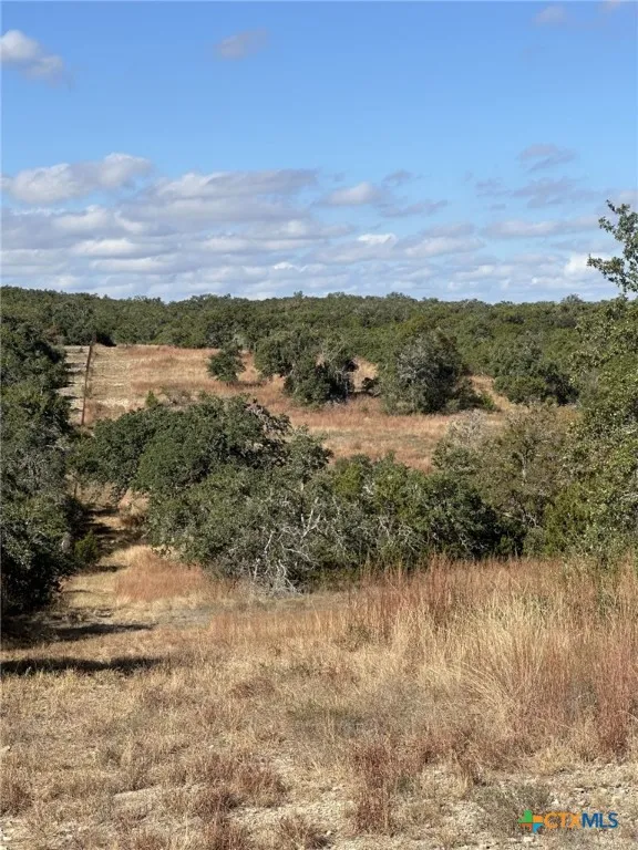 525 Outlook Drive Wimberley, TX 78676