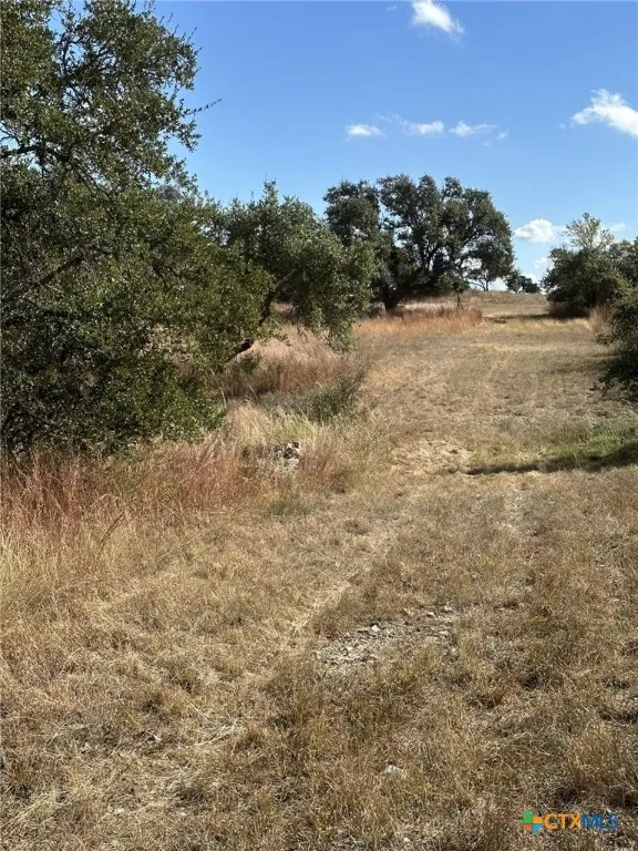 525 Outlook Drive Wimberley, TX 78676