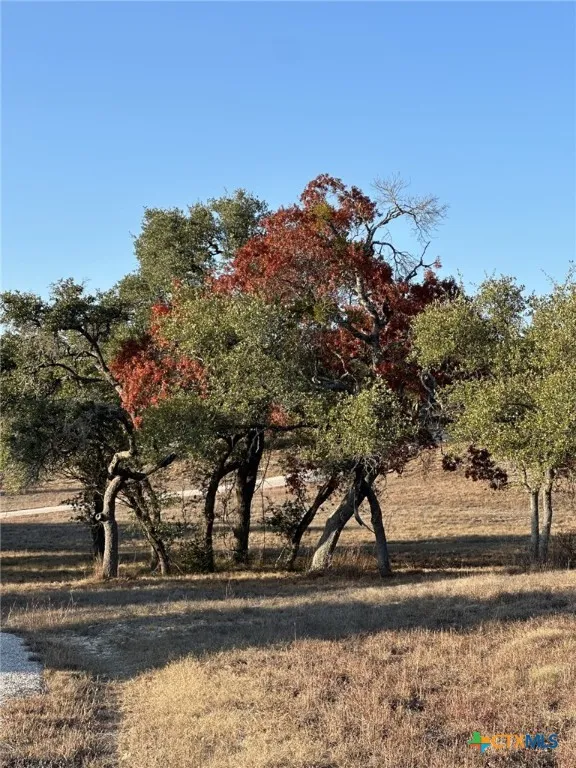 525 Outlook Drive Wimberley, TX 78676