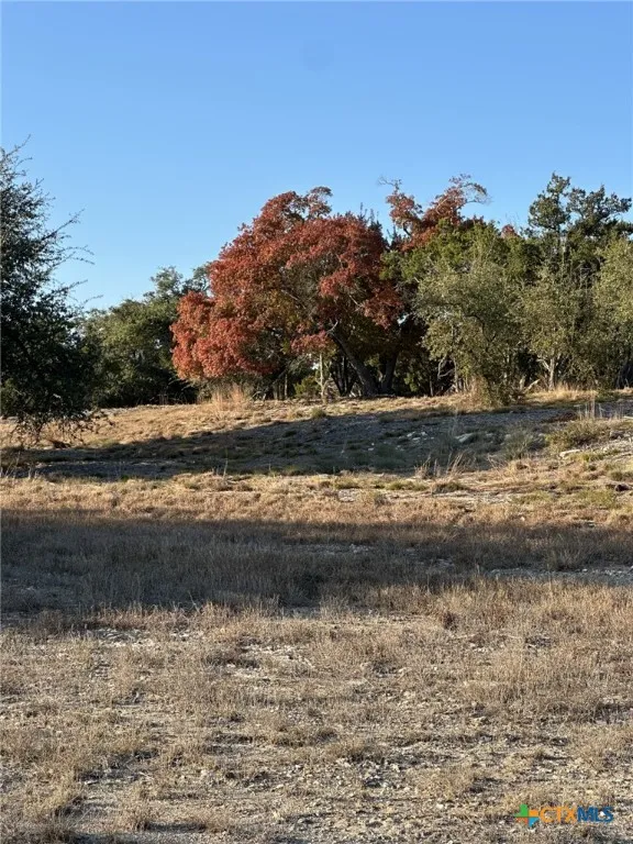 525 Outlook Drive Wimberley, TX 78676