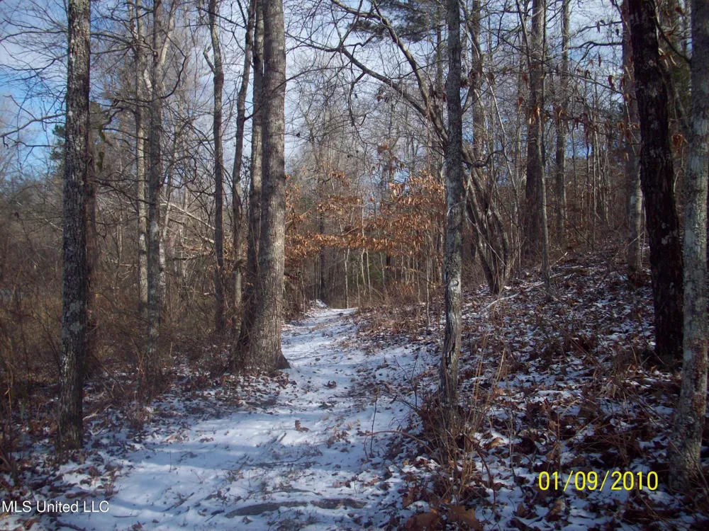 County Road 413 Oxford, MS 38655