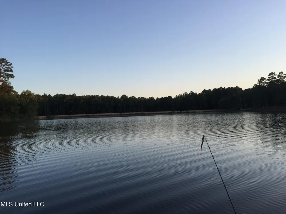 County Road 413 Oxford, MS 38655