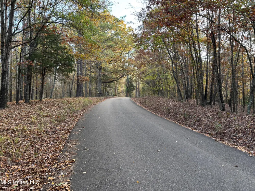County Road 413 Oxford, MS 38655