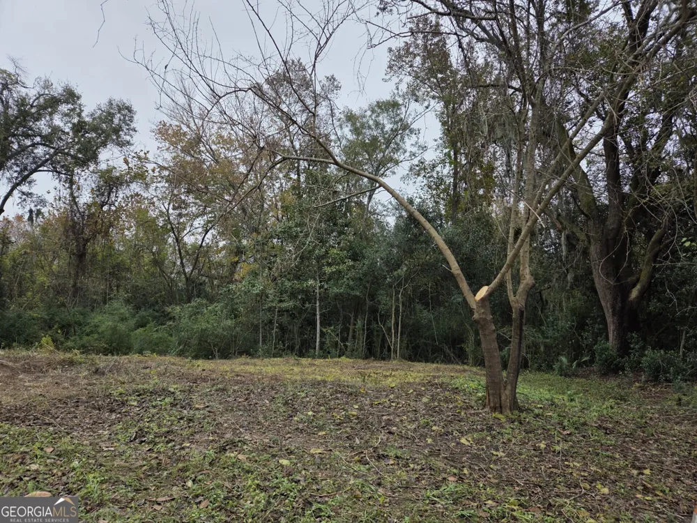 0 Mosley ST Savannah, GA 31404