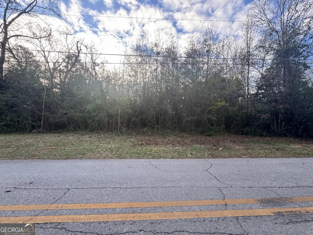 153&157 Wolverine ST Milledgeville, GA 31061