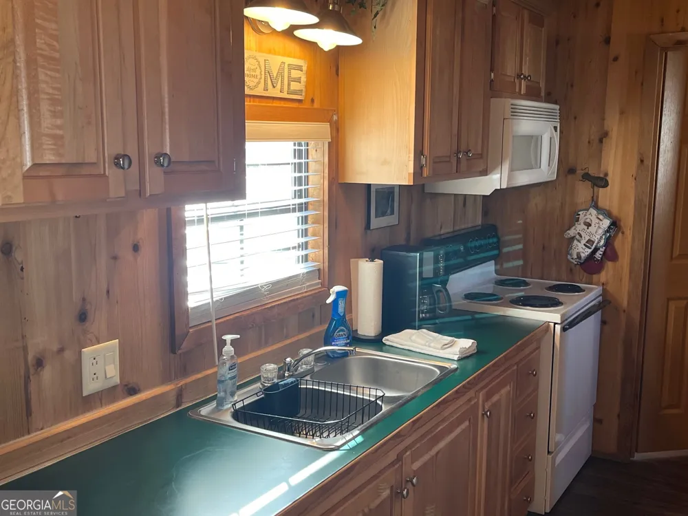 356 River Vista DR Dillard, GA 30537