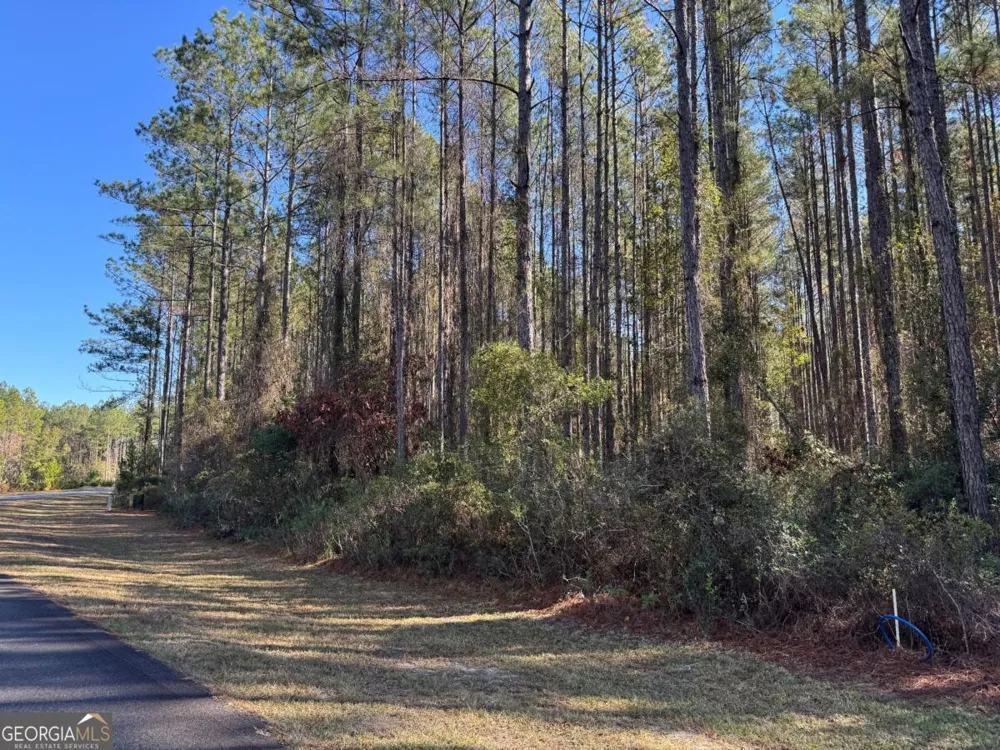 LOT 14 Waverly LN White Oak, GA 31568