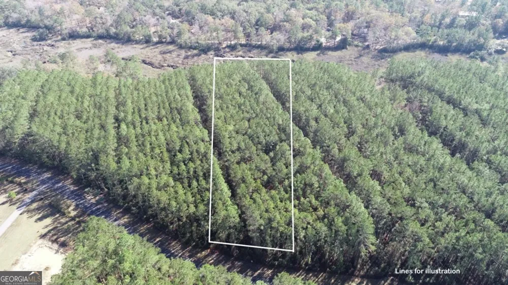 LOT 14 Waverly LN White Oak, GA 31568