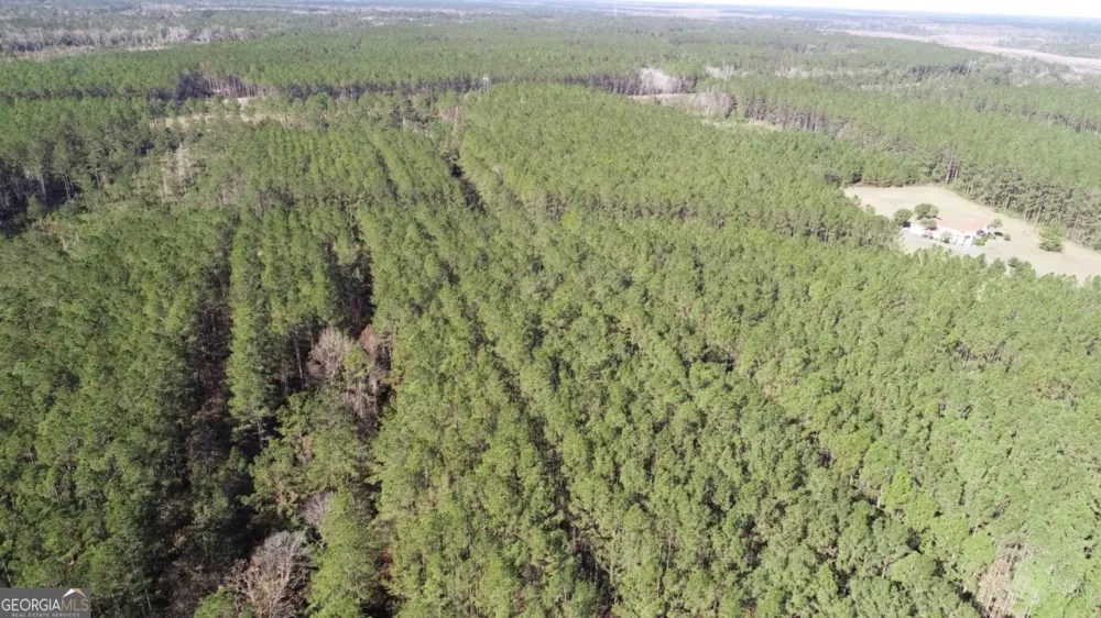 LOT 14 Waverly LN White Oak, GA 31568