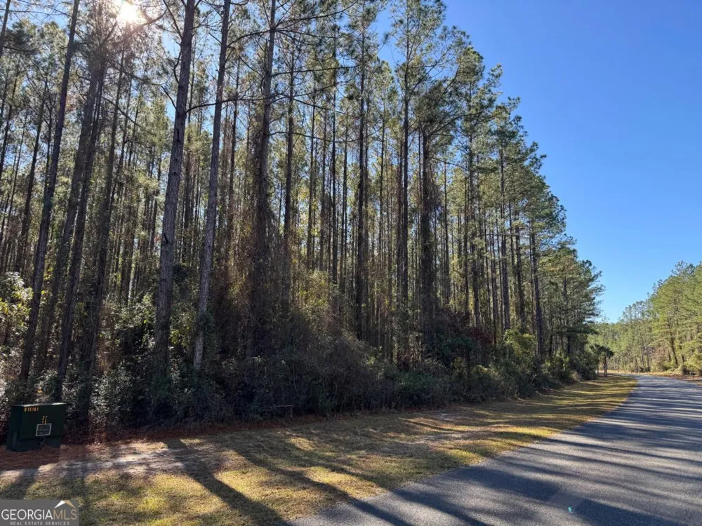 LOT 14 Waverly LN White Oak, GA 31568