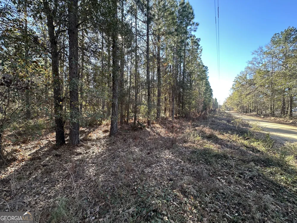 0 Halcyondale LOOP Sylvania, GA 30467