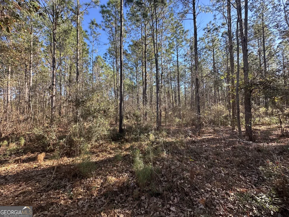 0 Halcyondale LOOP Sylvania, GA 30467