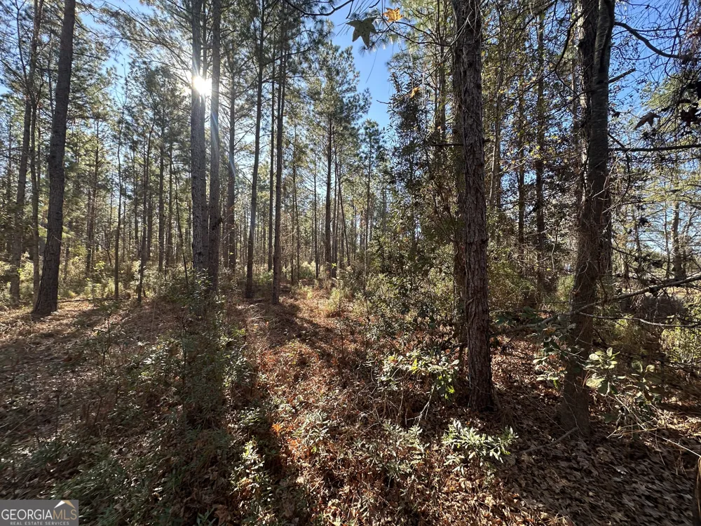 0 Halcyondale LOOP Sylvania, GA 30467