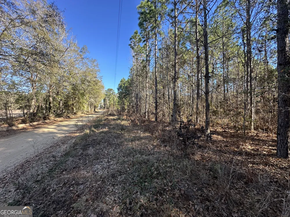 0 Halcyondale LOOP Sylvania, GA 30467