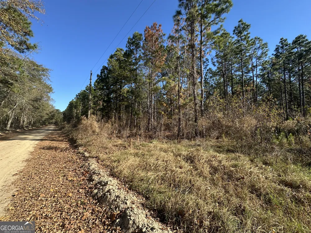 0 Halcyondale LOOP Sylvania, GA 30467