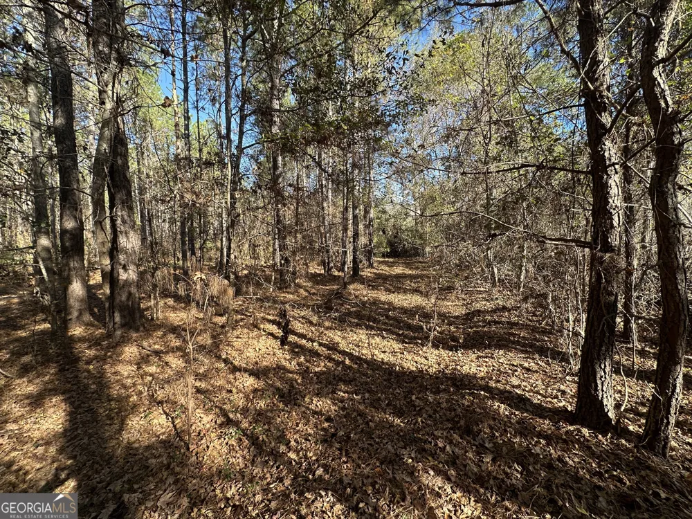 0 Halcyondale LOOP Sylvania, GA 30467