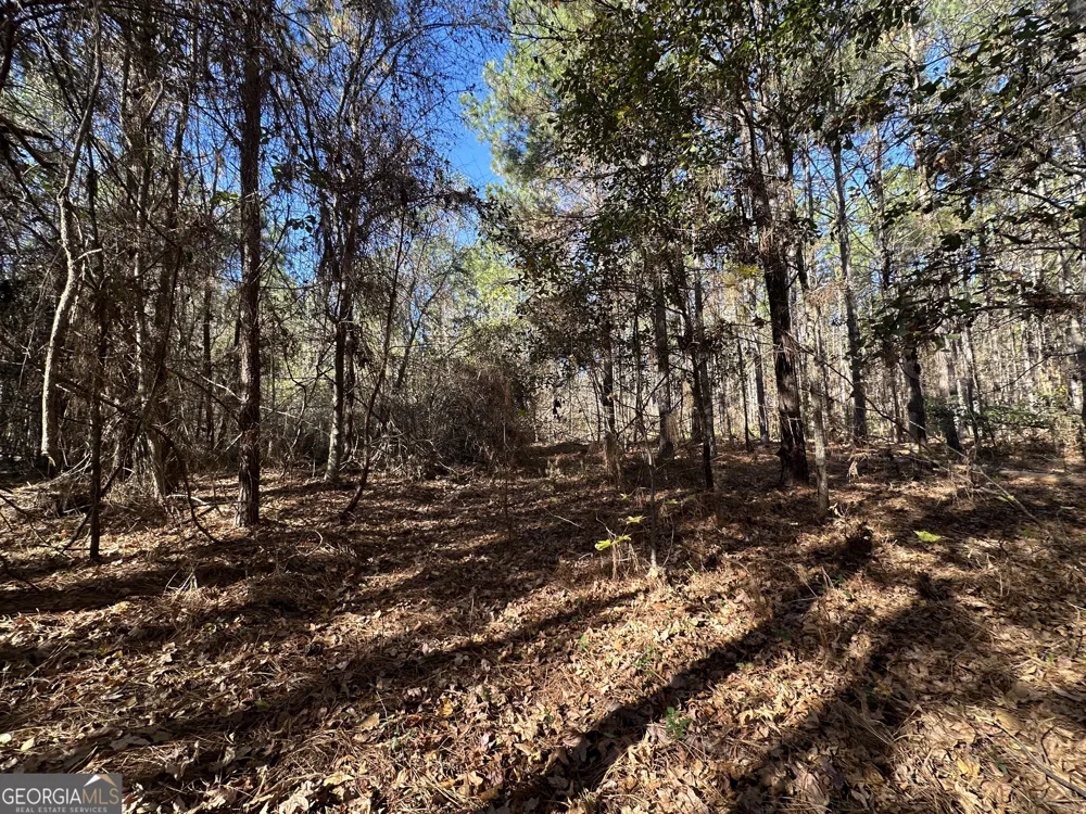 0 Halcyondale LOOP Sylvania, GA 30467