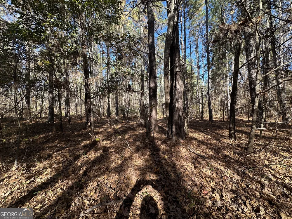 0 Halcyondale LOOP Sylvania, GA 30467
