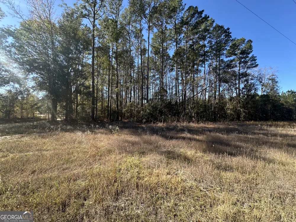 0 Halcyondale LOOP Sylvania, GA 30467