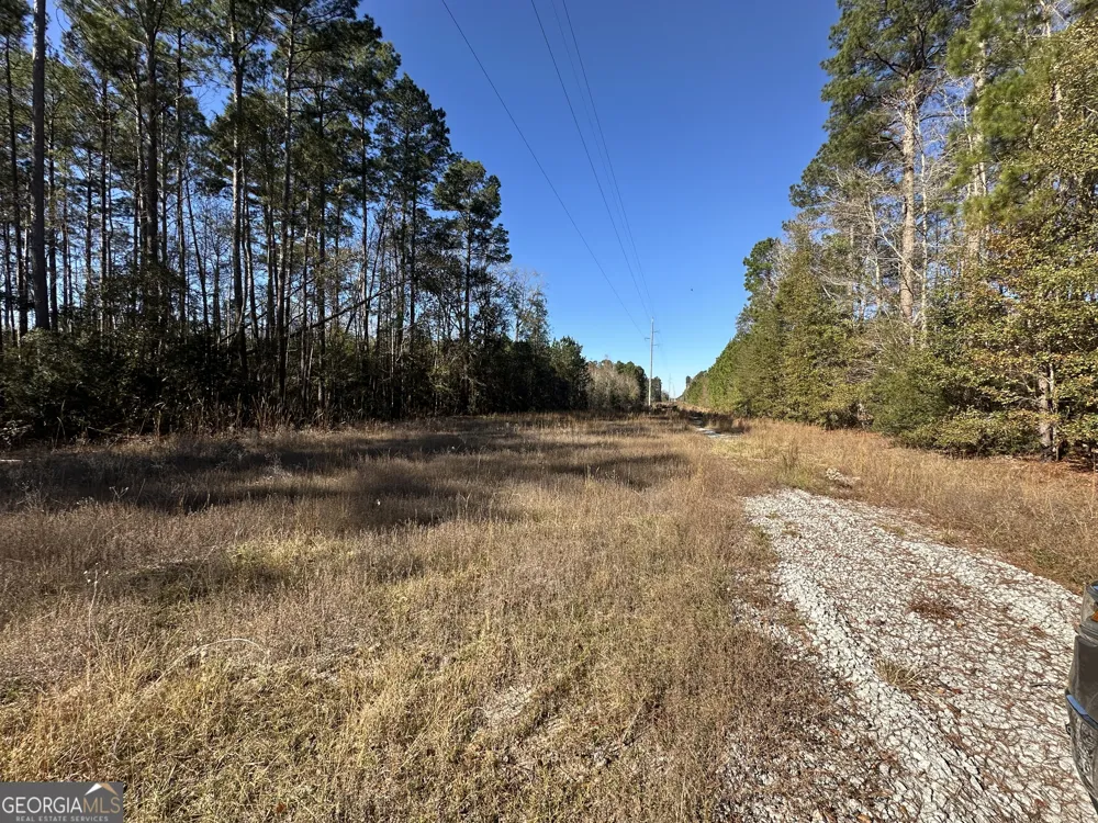 0 Halcyondale LOOP Sylvania, GA 30467