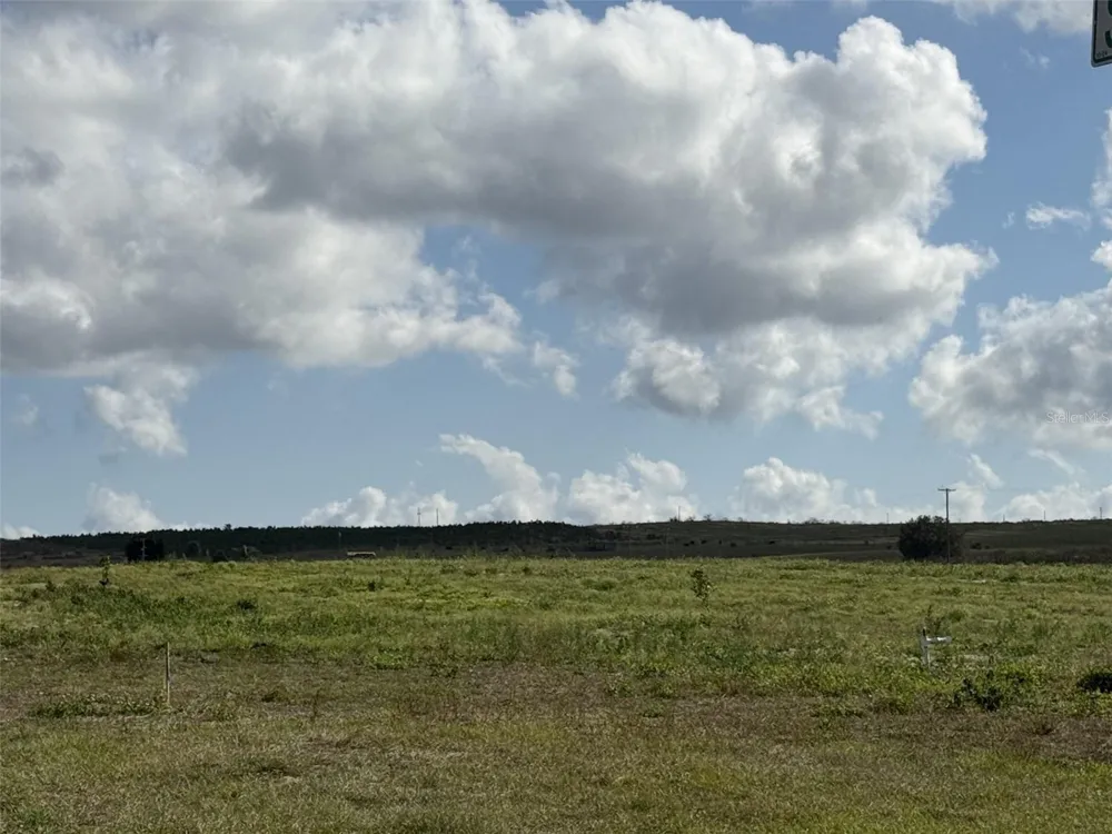203 SEMINOLE BEACH DRIVE Babson Park, FL 33827