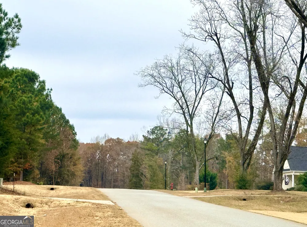 LOT 17 Rolling Meadows WAY Waverly Hall, GA 31831