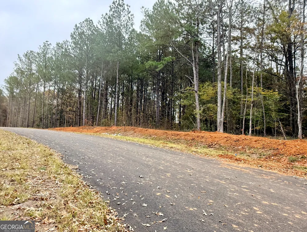 LOT 17 Rolling Meadows WAY Waverly Hall, GA 31831