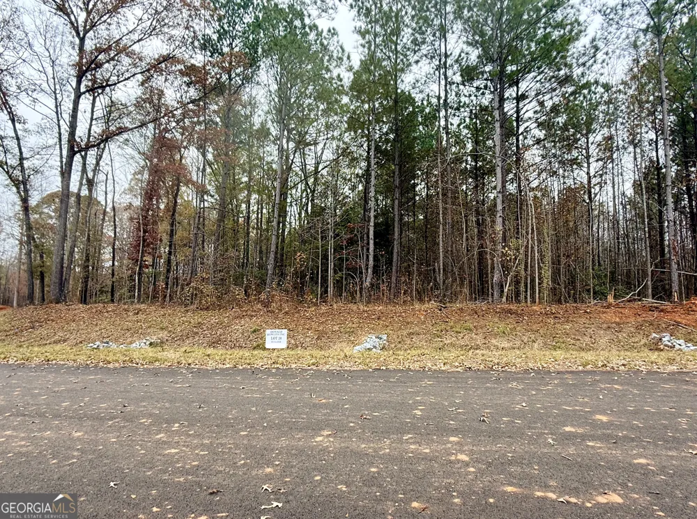 LOT 20 Rolling Meadows WAY Waverly Hall, GA 31831