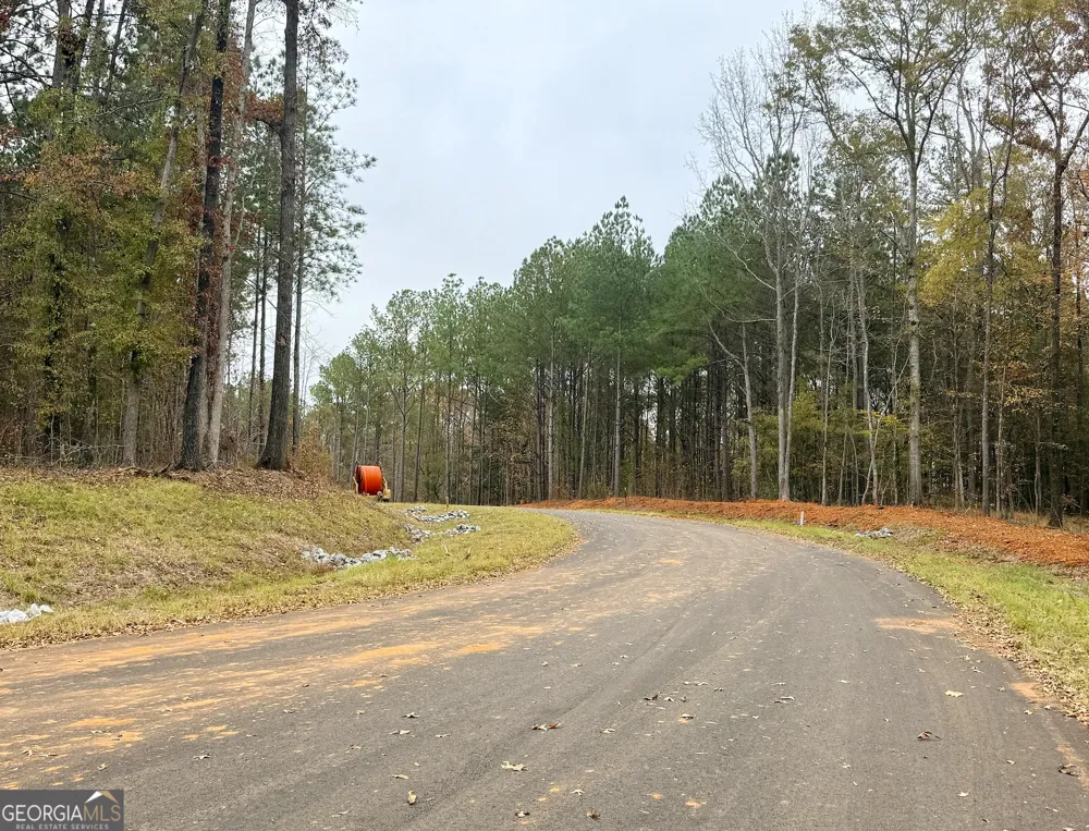 LOT 19 Rolling Meadows WAY Waverly Hall, GA 31831