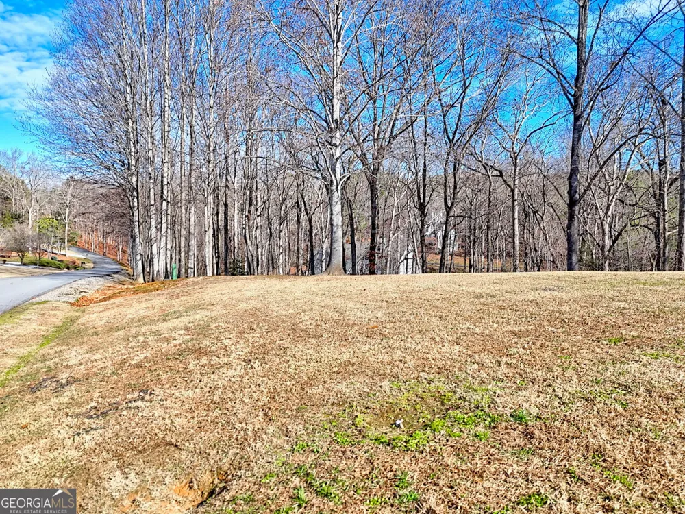 0 Rome Beauty LN Clarkesville, GA 30523