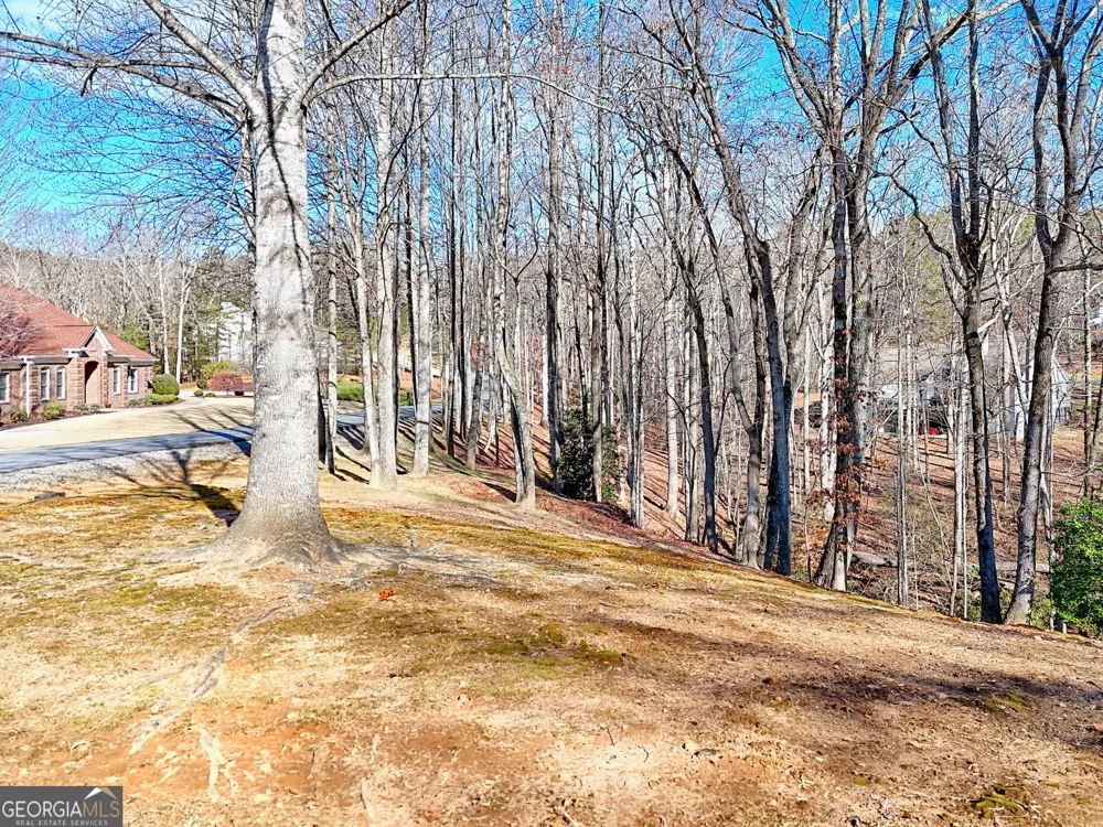 0 Rome Beauty LN Clarkesville, GA 30523