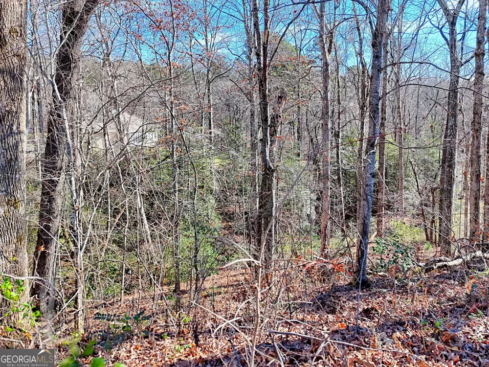 0 Rome Beauty LN Clarkesville, GA 30523