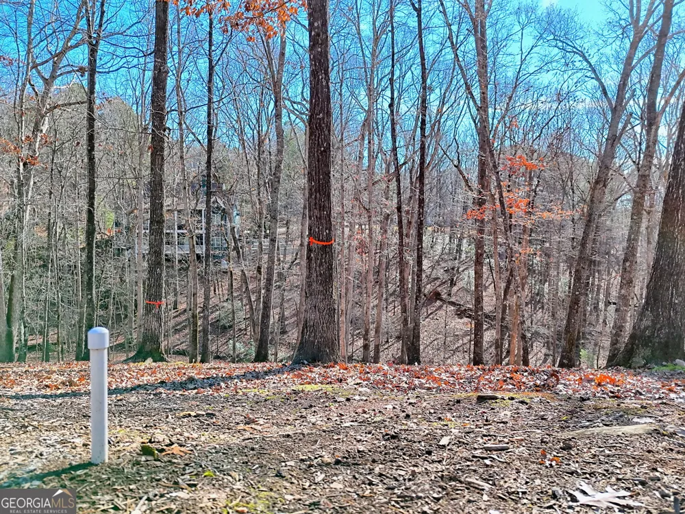 0 Rome Beauty LN Clarkesville, GA 30523