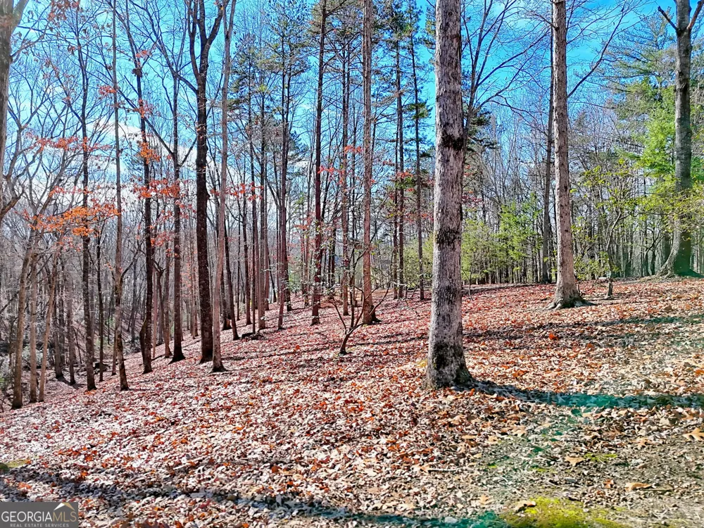 0 Rome Beauty LN Clarkesville, GA 30523