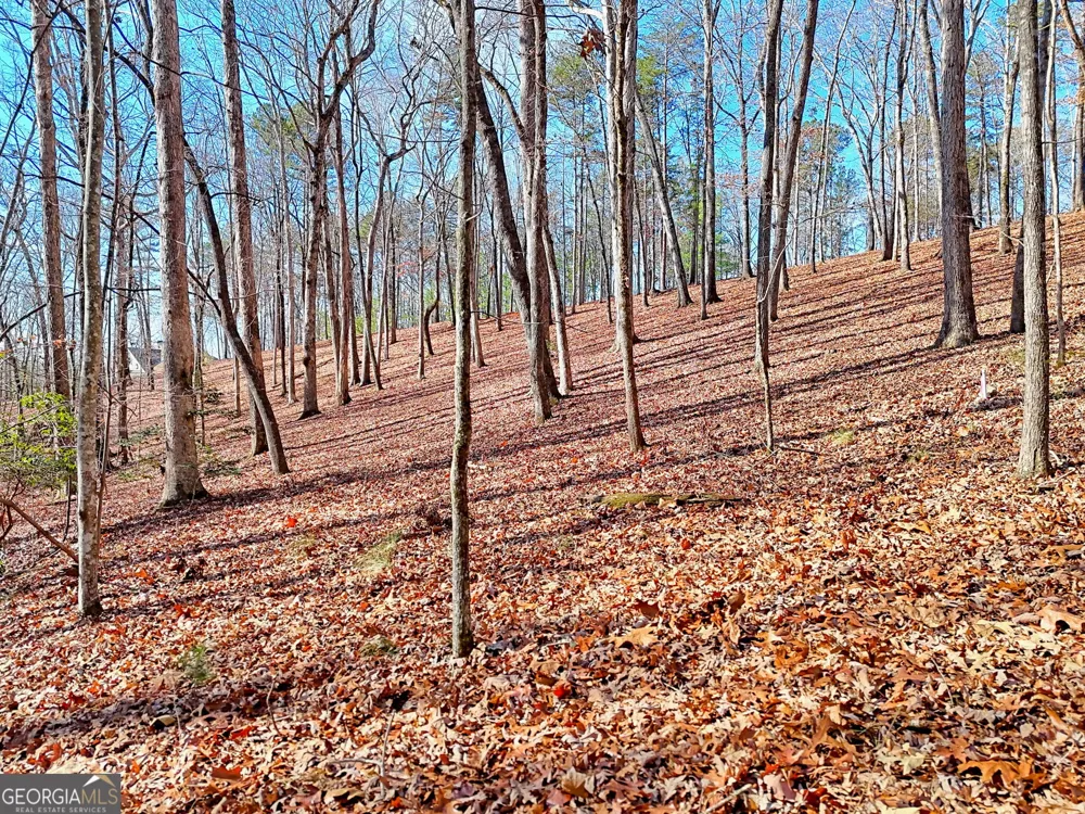 0 Rome Beauty LN Clarkesville, GA 30523