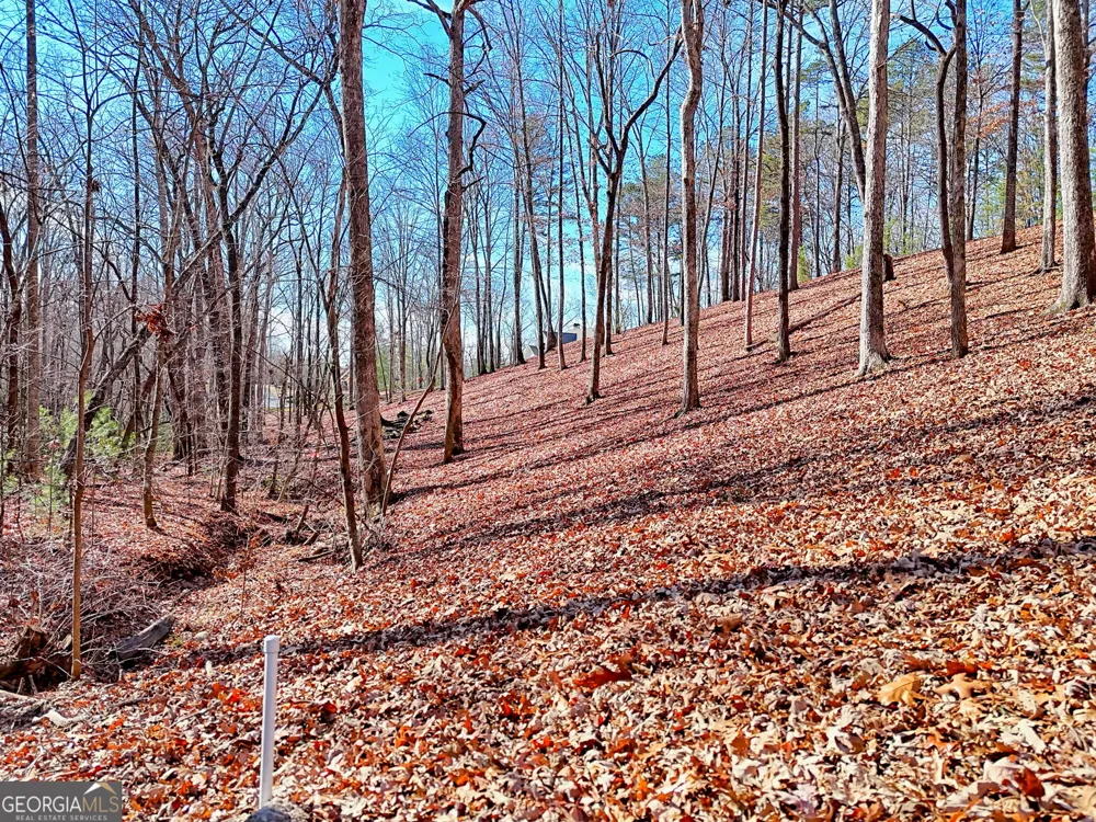 0 Rome Beauty LN Clarkesville, GA 30523