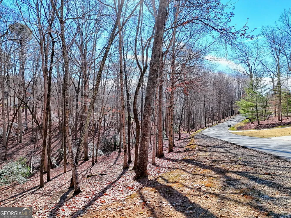 0 Rome Beauty LN Clarkesville, GA 30523