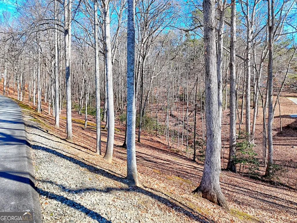 0 Rome Beauty LN Clarkesville, GA 30523