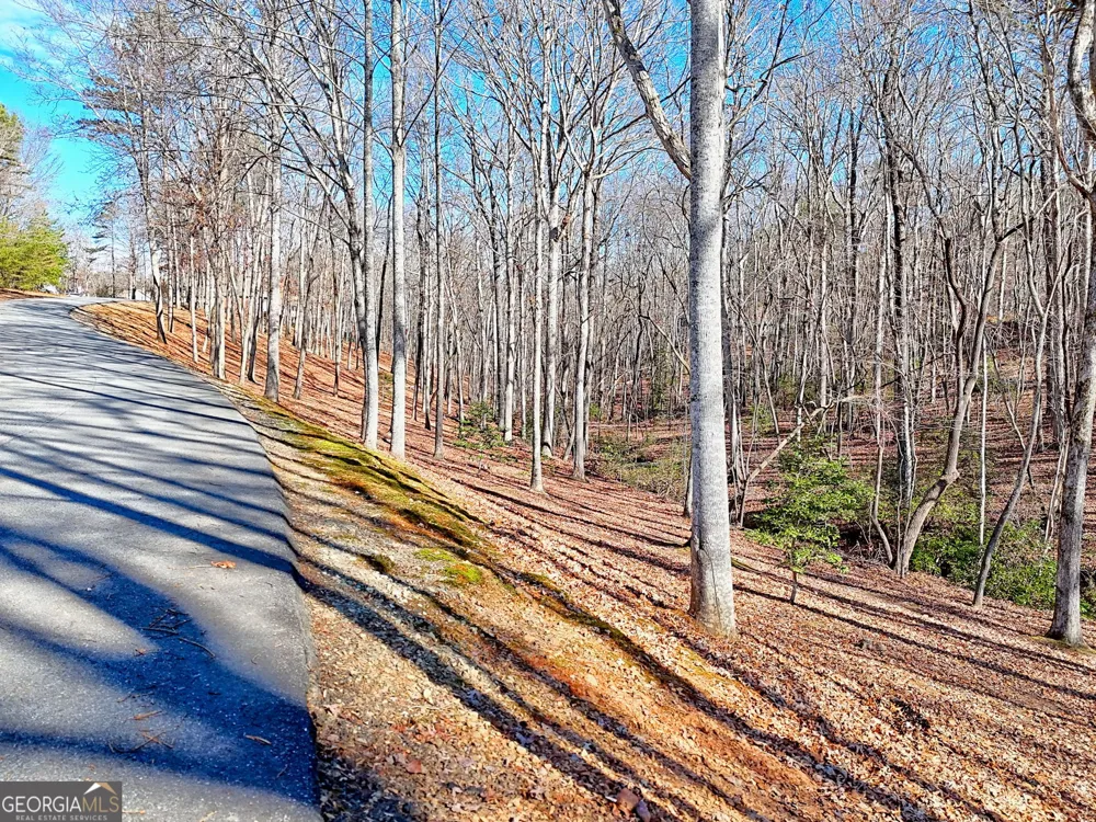 0 Rome Beauty LN Clarkesville, GA 30523