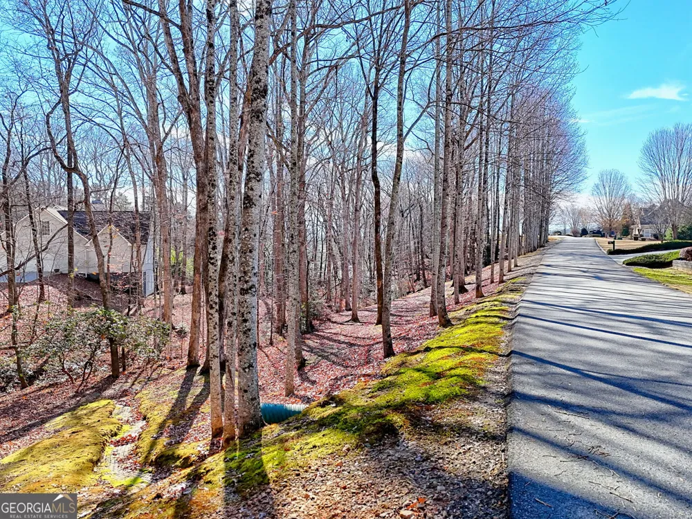 0 Rome Beauty LN Clarkesville, GA 30523