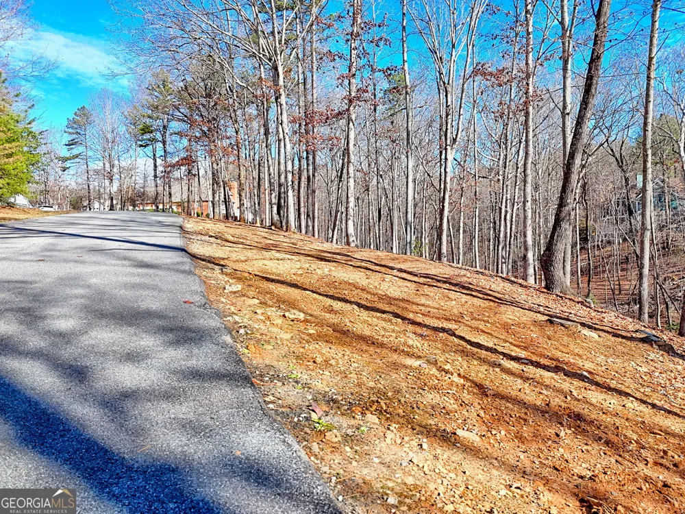 0 Rome Beauty LN Clarkesville, GA 30523