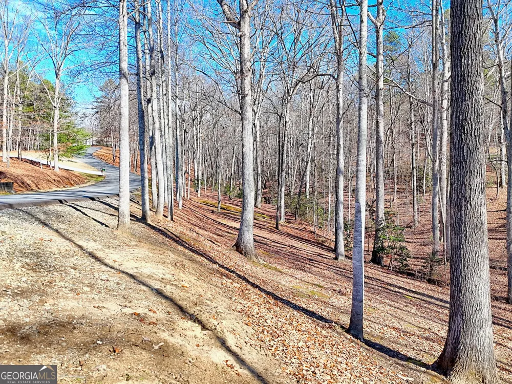 0 Rome Beauty LN Clarkesville, GA 30523