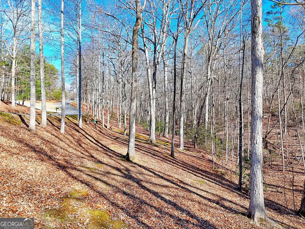 0 Rome Beauty LN Clarkesville, GA 30523