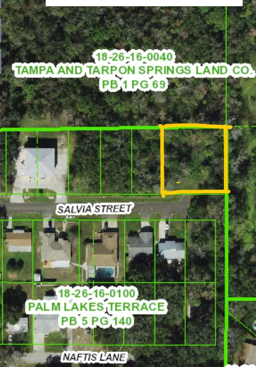 4715 SALVIA STREET New Port Richey, FL 34652