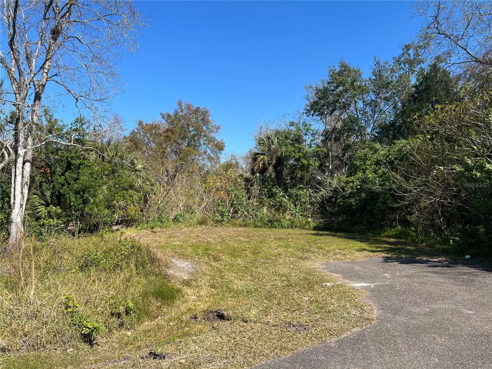 4715 SALVIA STREET New Port Richey, FL 34652