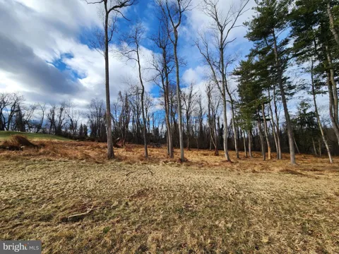 SAWTOOTH OAK DR