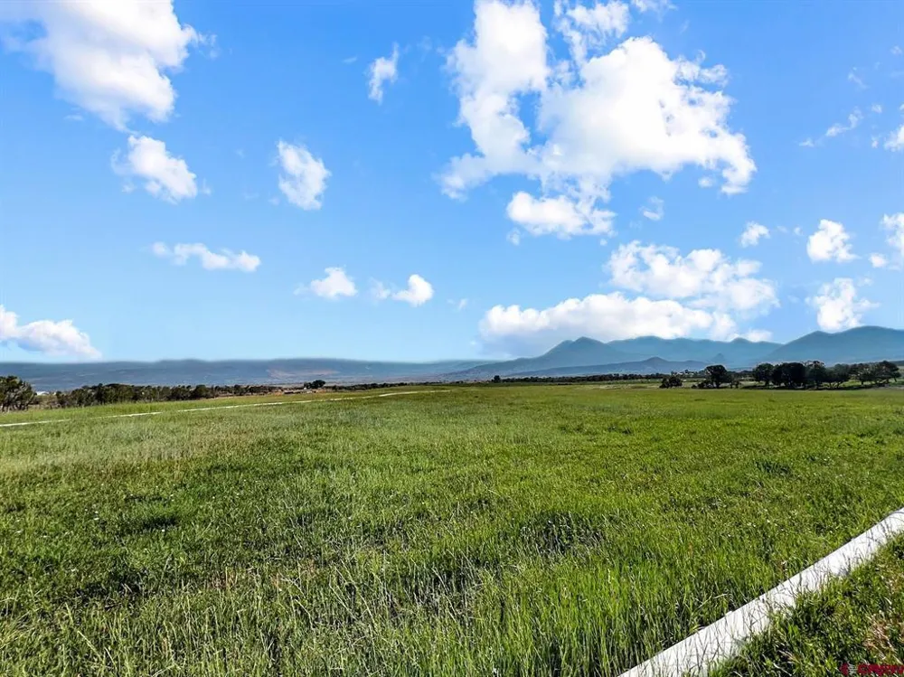 36024 Fruitland Mesa Road Crawford, CO 81415
