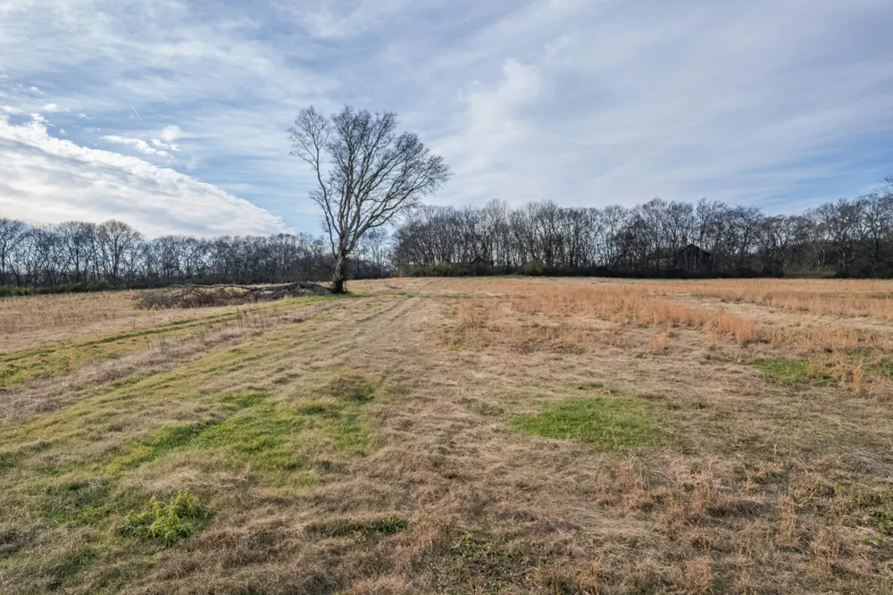 815 S Cross Bridges Rd Mount Pleasant, TN 38474