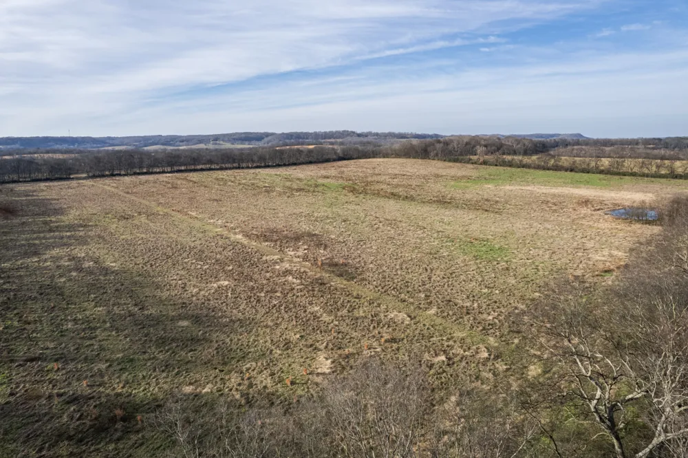 815 S Cross Bridges Rd Mount Pleasant, TN 38474